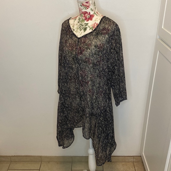 Franne Golde Transparent Speckled Tunic - Picture 2 of 7
